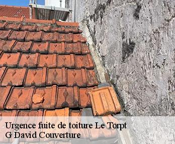 Urgence fuite de toiture  le-torpt-27210 G David Couverture