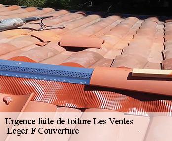 Urgence fuite de toiture 27180