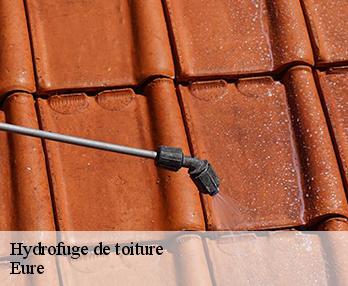 Hydrofuge de toiture
