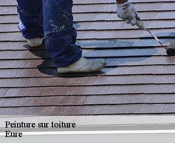 Peinture sur toiture