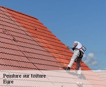 Peinture sur toiture Eure