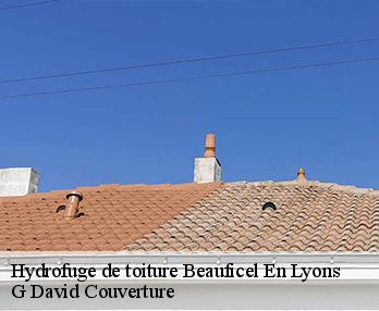 Hydrofuge de toiture
