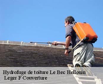 Hydrofuge de toiture