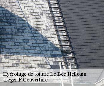 Hydrofuge de toiture le-bec-hellouin-27800 Leger F Couverture