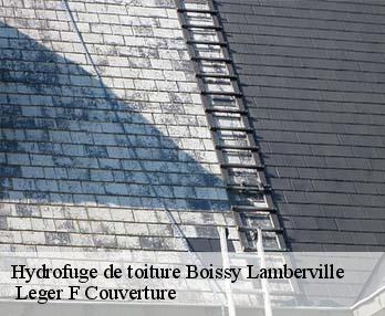 Hydrofuge de toiture boissy-lamberville-27300 Leger F Couverture