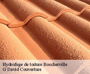 Hydrofuge de toiture boscherville-27520 G David Couverture