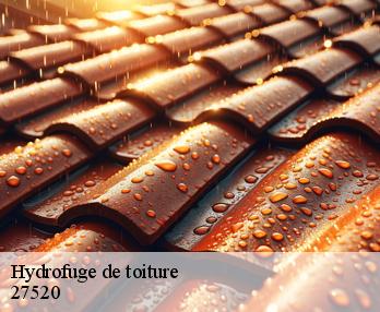 Hydrofuge de toiture 27520