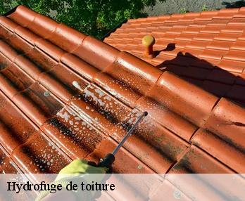 Hydrofuge de toiture