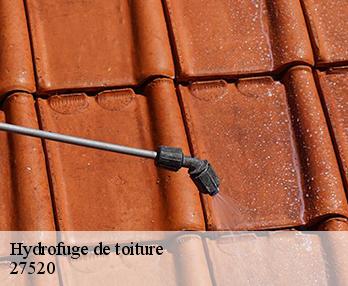 Hydrofuge de toiture