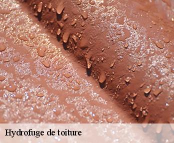 Hydrofuge de toiture 27520