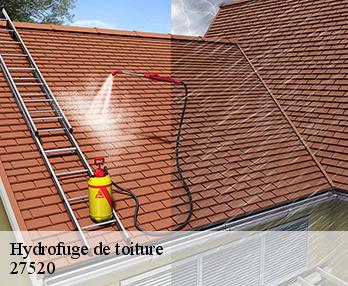 Hydrofuge de toiture 27520