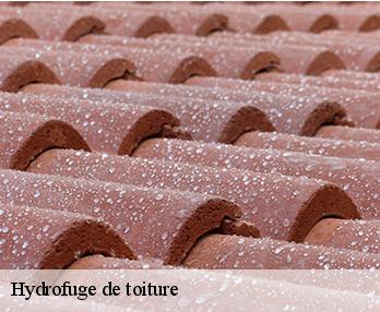 Hydrofuge de toiture