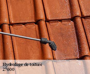 Hydrofuge de toiture