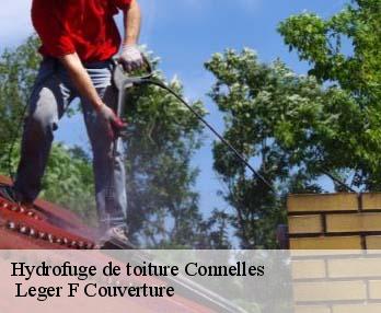 Hydrofuge de toiture  27430