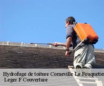 Hydrofuge de toiture