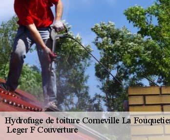 Hydrofuge de toiture 27300