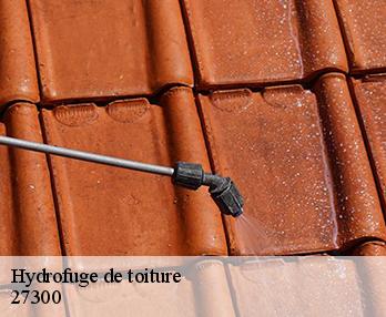 Hydrofuge de toiture