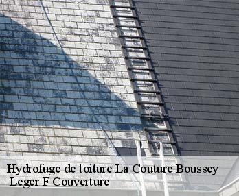 Hydrofuge de toiture la-couture-boussey-27750 Leger F Couverture