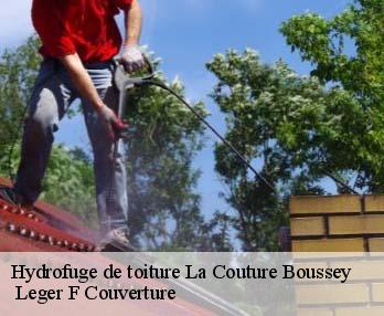 Hydrofuge de toiture 27750