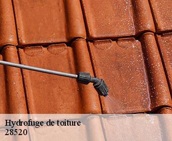 Hydrofuge de toiture