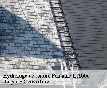 Hydrofuge de toiture fontaine-l-abbe-27300 Leger F Couverture