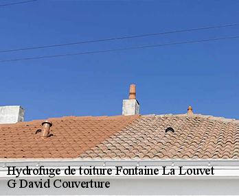 Hydrofuge de toiture