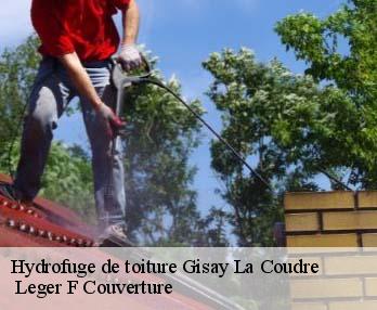 Hydrofuge de toiture  27330