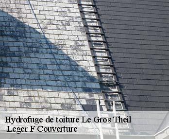 Hydrofuge de toiture le-gros-theil-27370 Leger F Couverture