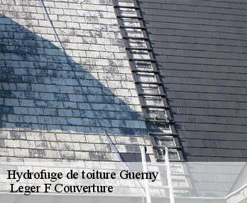 Hydrofuge de toiture  guerny-27720  Leger F Couverture