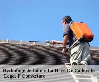 Hydrofuge de toiture