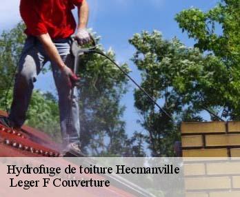 Hydrofuge de toiture 27800