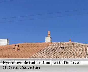 Hydrofuge de toiture