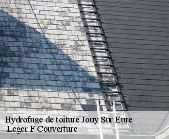 Hydrofuge de toiture  jouy-sur-eure-27120  Leger F Couverture