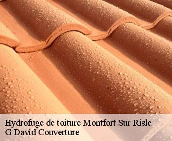Hydrofuge de toiture montfort-sur-risle-27290 G David Couverture