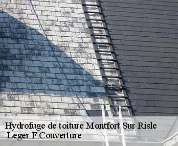 Hydrofuge de toiture montfort-sur-risle-27290 Leger F Couverture