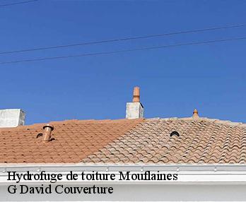 Hydrofuge de toiture