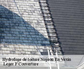 Hydrofuge de toiture  nojeon-en-vexin-27150  Leger F Couverture