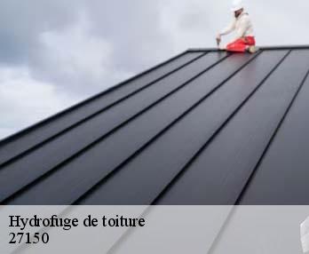 Hydrofuge de toiture  27150