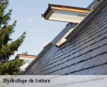 Hydrofuge de toiture  27150