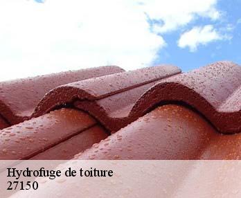 Hydrofuge de toiture  27150