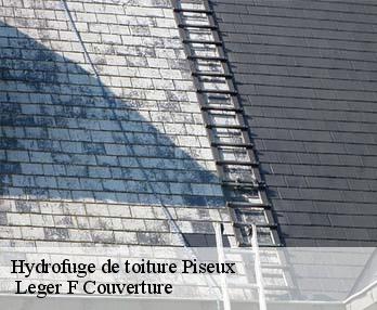 Hydrofuge de toiture  piseux-27130  Leger F Couverture