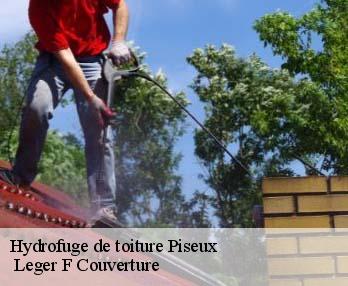Hydrofuge de toiture  27130
