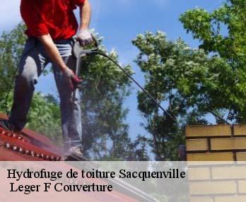 Hydrofuge de toiture 27930