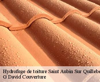 Hydrofuge de toiture saint-aubin-sur-quillebeuf-27680 G David Couverture