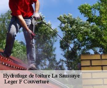 Hydrofuge de toiture 27370