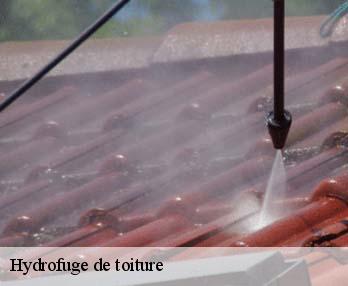 Hydrofuge de toiture