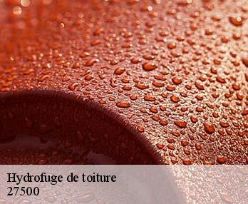 Hydrofuge de toiture