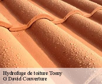 Hydrofuge de toiture  tosny-27700 G David Couverture