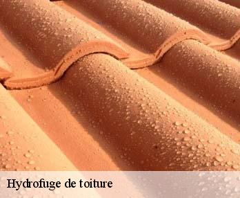 Hydrofuge de toiture