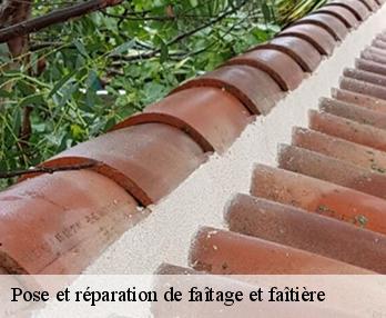 Pose et réparation de faîtage et faîtière